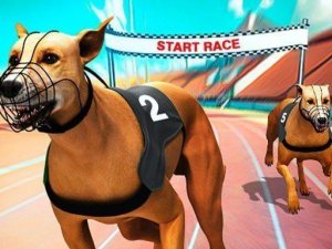 Fast Paws Track Star