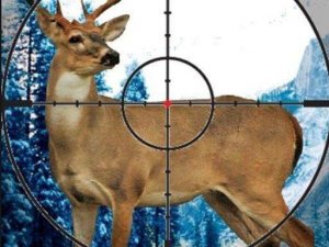 Sniper Stag Hunter - Offline FPS Shooting Game