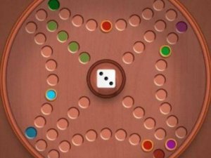 FG Ludo Puzzle Game