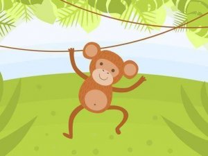 Primate Palette Playtime